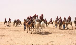 荒野求生撒哈拉沙漠